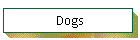 Dogs