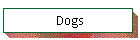 Dogs